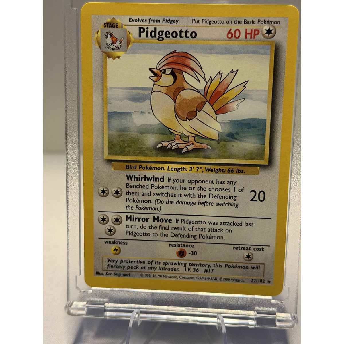 Pidgeotto 22/102 Base Set Unlimited Rare WOTC 1999 Pokemon Card NM